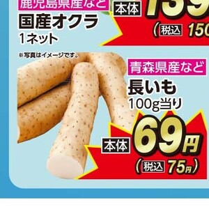 ながいも