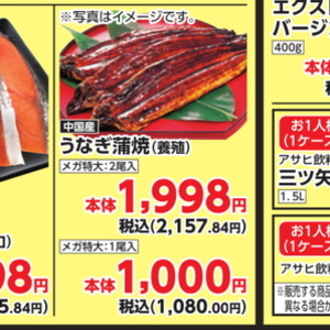 うなぎの蒲焼き
