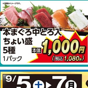 まぐろ中とろ