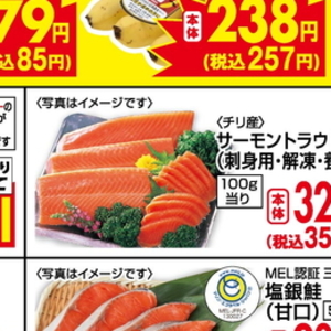 サーモン（さく取り）