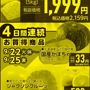 かぼちゃ