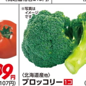 ブロッコリー