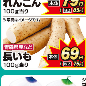ながいも