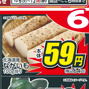 ながいも