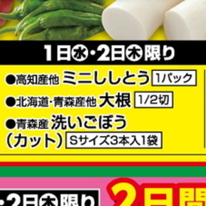 だいこん