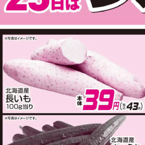 ながいも