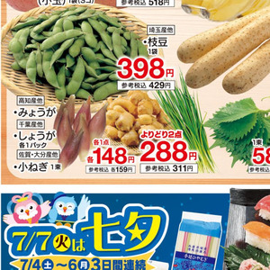 小葱