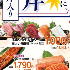 まぐろ中とろ