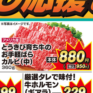 牛肉ハラミ