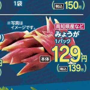 みょうが