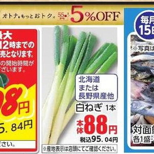 ながねぎ