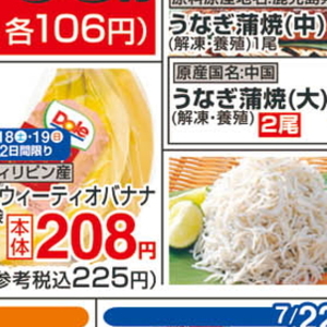 うなぎの蒲焼き