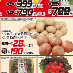 たまねぎ