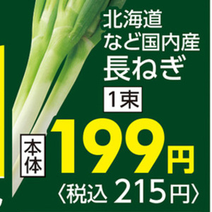 ながねぎ