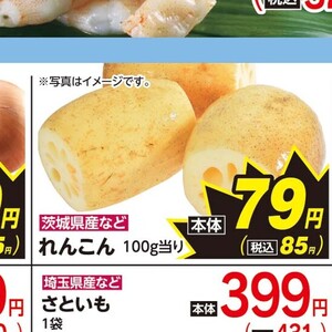 レンコン