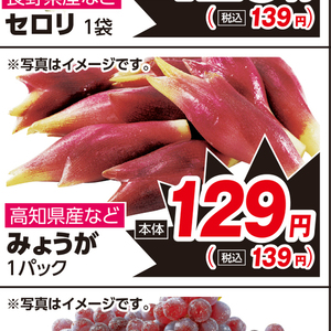 みょうが