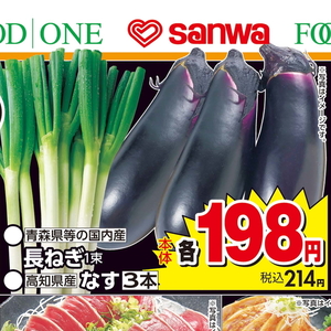 ながねぎ