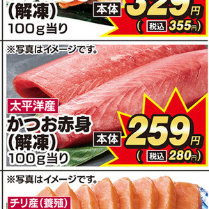 まぐろ赤身