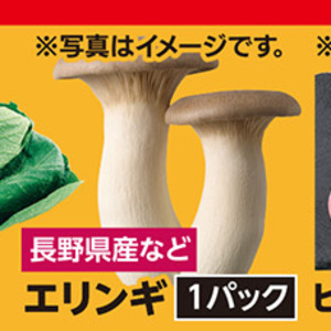 エリンギ