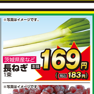ながねぎ