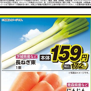 ながねぎ
