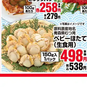 ほたて（ベビー）