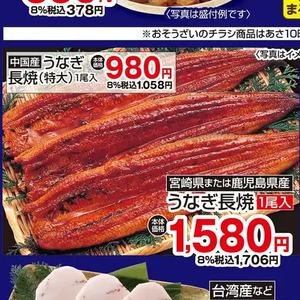 うなぎの蒲焼き