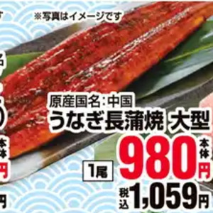 うなぎの蒲焼き