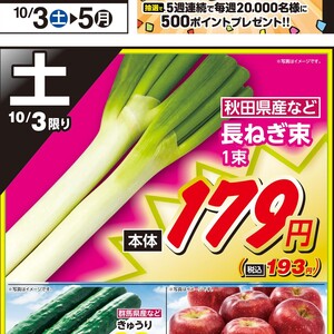 ながねぎ