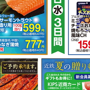 うなぎの蒲焼き