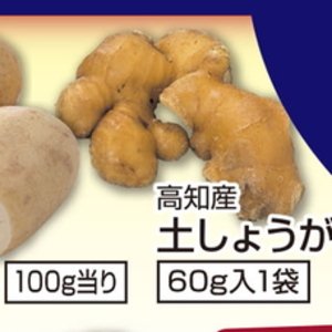 レンコン