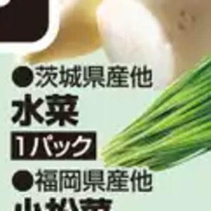水菜