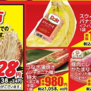 うなぎの蒲焼き