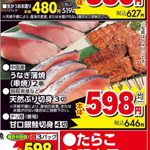 うなぎの蒲焼き