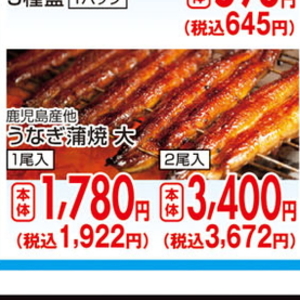 うなぎの蒲焼き