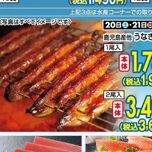 うなぎの蒲焼き