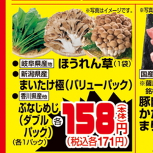 まいたけ