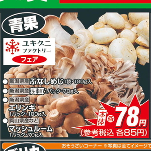まいたけ