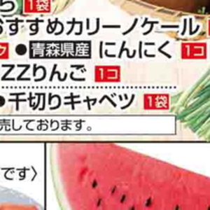 きゃべつ