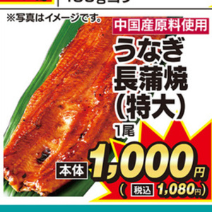 うなぎの蒲焼き
