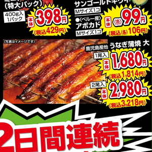 うなぎの蒲焼き