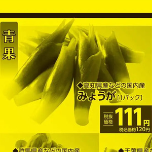 みょうが