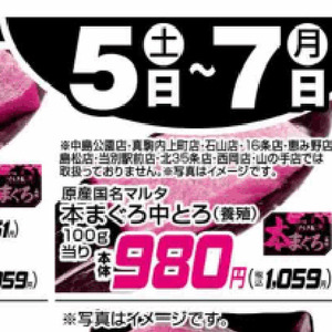 まぐろ中とろ