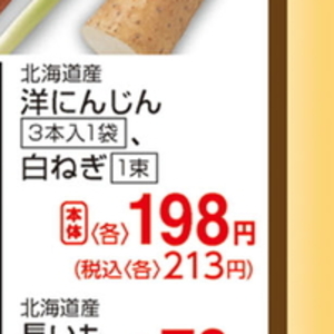ながねぎ