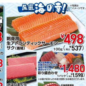 サーモン（さく取り）