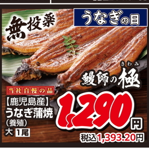 うなぎの蒲焼き