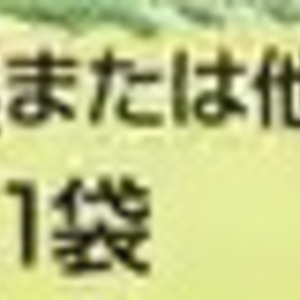 豆苗