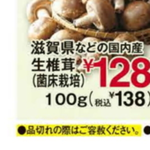 しいたけ