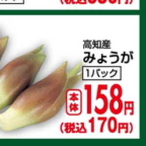 みょうが