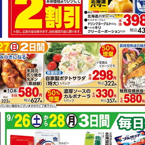 鶏手羽元